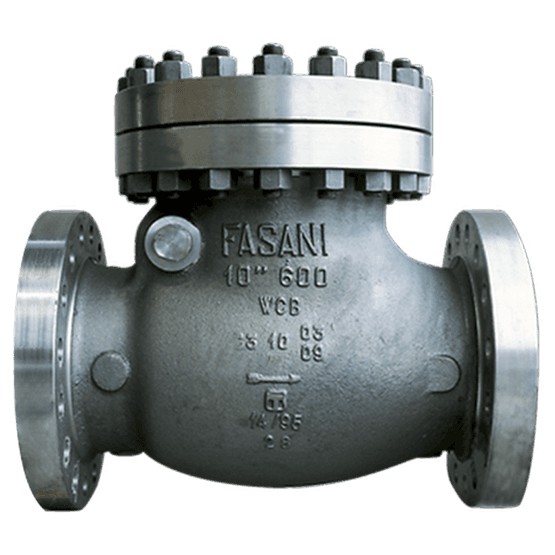 Bolted Bonnet Check Valves