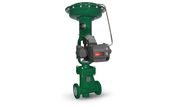 Globe & Gate Valves
