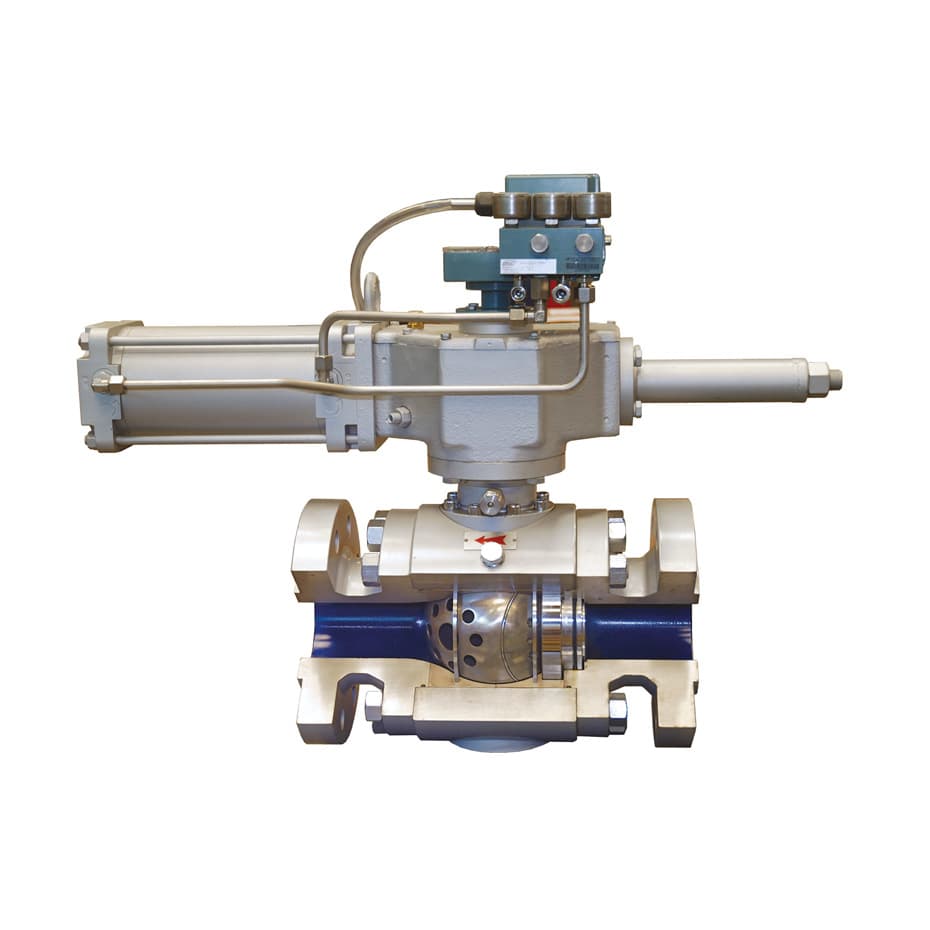 Deltaflux Control Ball Valve