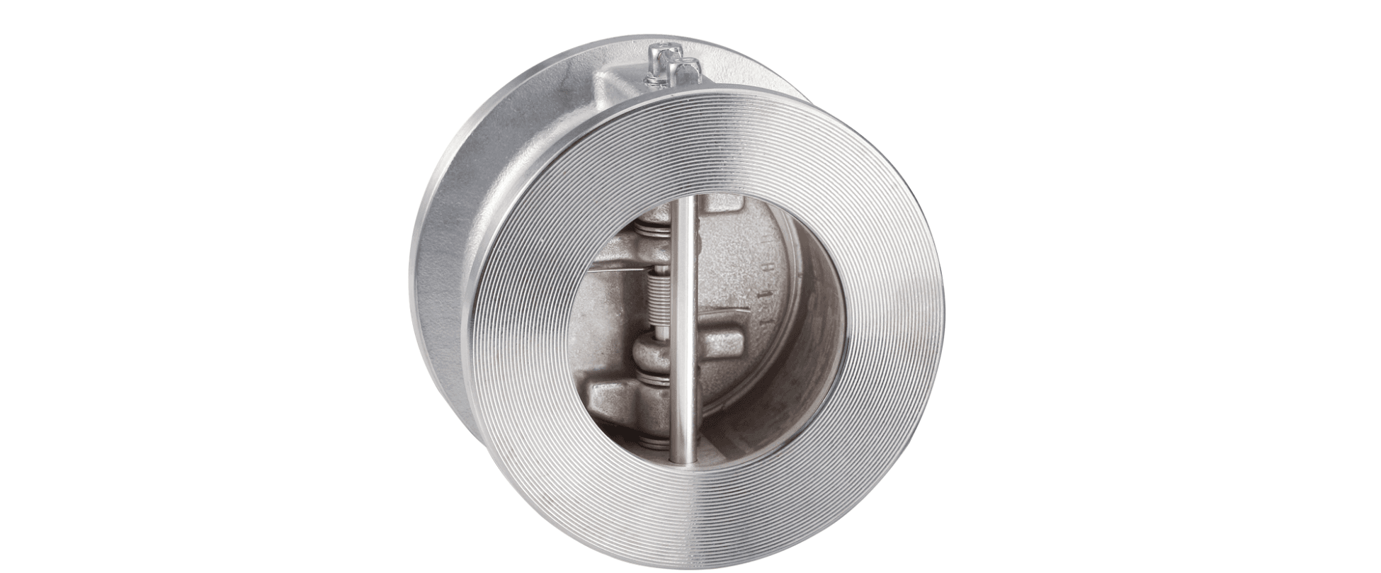 Dual Plate Check Valve